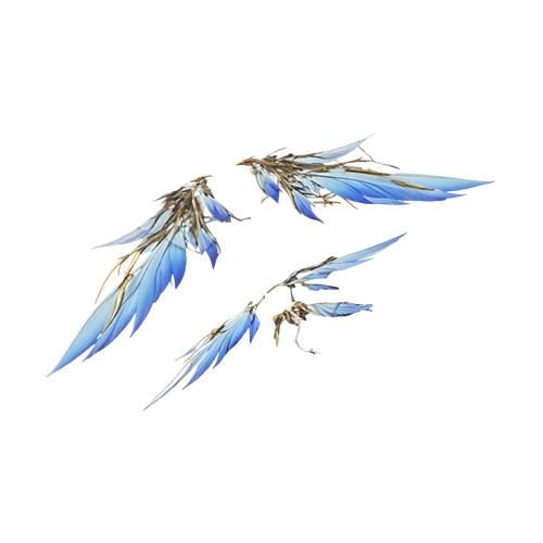 L'Aube sur les &eacute;pines