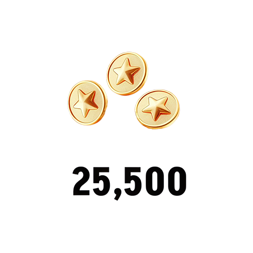 25500 Coins